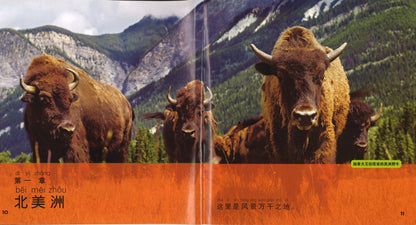 我的第一本美国国家地理地理百科（拼音）  9787559702258 | Singapore Chinese Books | Maha Yu Yi Pte Ltd