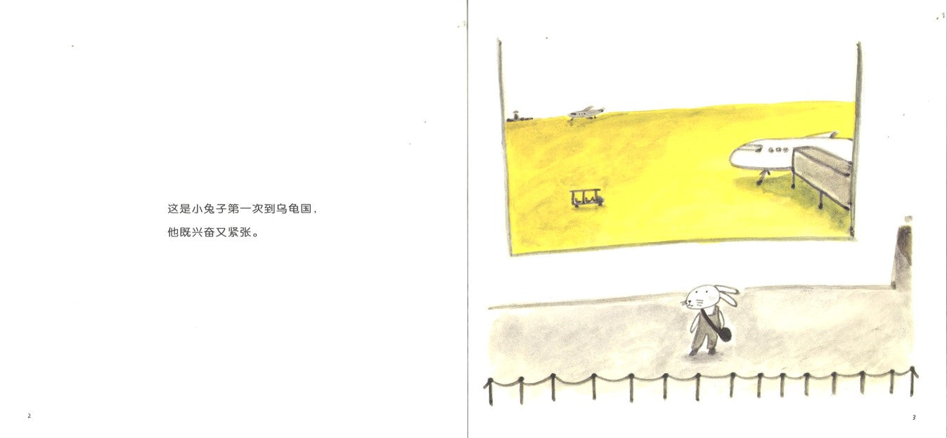 到乌龟国去  9787564527853 | Singapore Chinese Books | Maha Yu Yi Pte Ltd