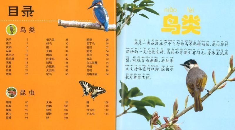 9787568122832 鸟类·昆虫大百科（拼音） | Singapore Chinese Books