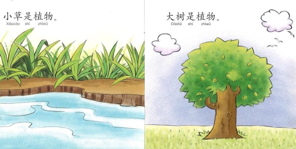 9789670370668set 幼儿学句型（2）（全10册） | Singapore Chinese Books