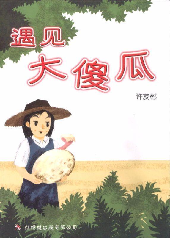 9789670564135 遇见大傻瓜 | Singapore Chinese Books