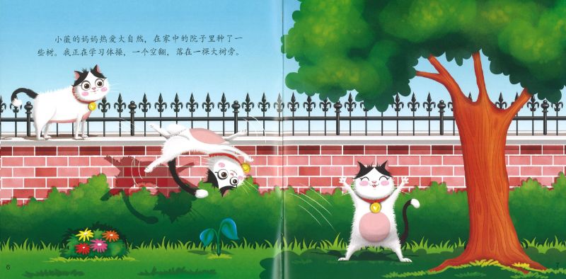 9789811163616SET 《新新岛》分级读本系列——第五级（含6册）“New Stars Island” Graded Picture Book Series - Grade 5 | Singapore Chinese Books