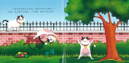 9789811163616SET 《新新岛》分级读本系列——第五级（含6册）“New Stars Island” Graded Picture Book Series - Grade 5 | Singapore Chinese Books