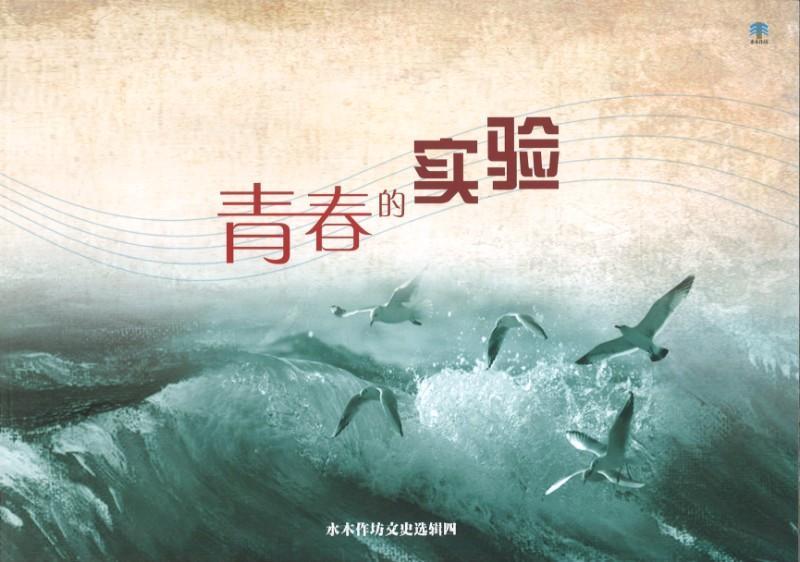 9789811178214 青春的实验 | Singapore Chinese Books