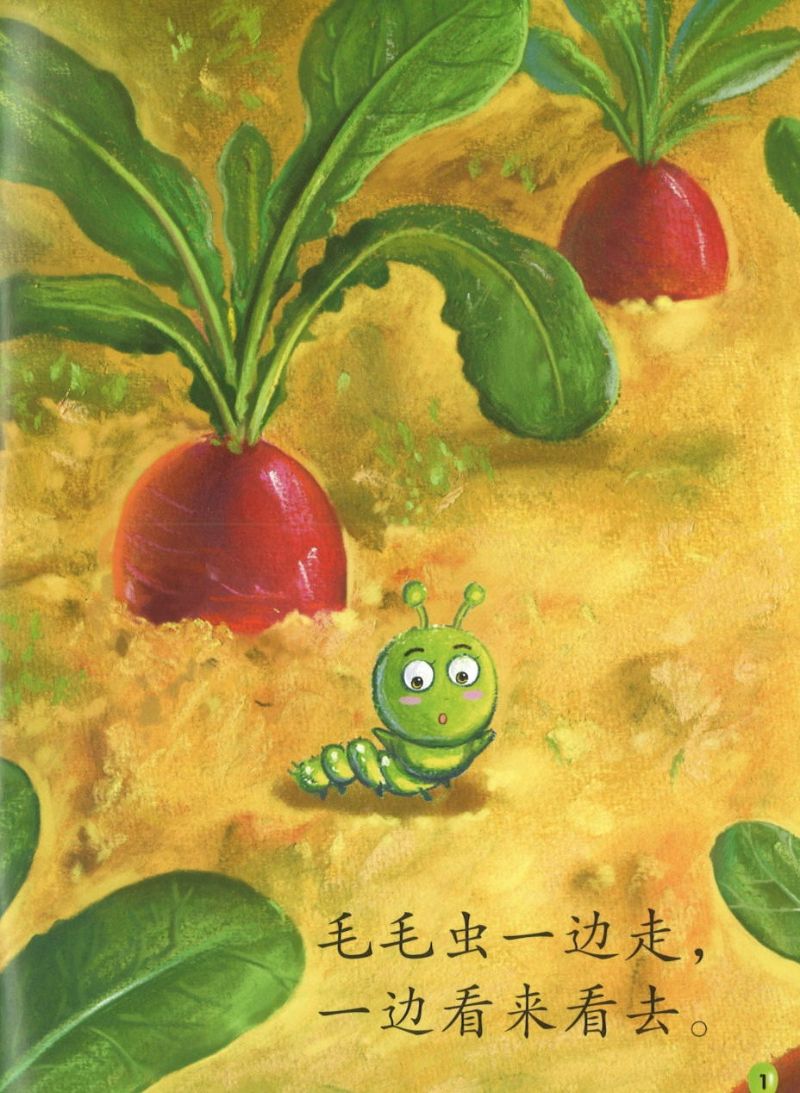 9789813168633set Small Reader Caterpillar Level 3 乐中学 毛毛虫系列.绿色（全4册） | Singapore Chinese Books