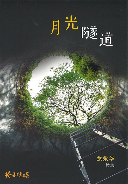 9789814856065 月光隧道 | Singapore Chinese Books