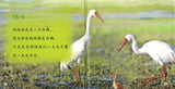 白鹤日记 The Diary of the White Crane 9789814915670 | Singapore Chinese Books | Maha Yu Yi Pte Ltd