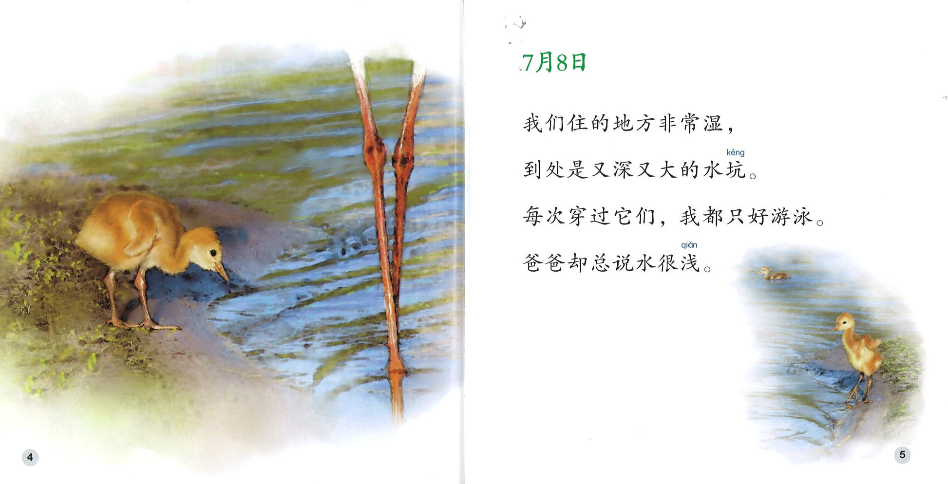 白鹤日记 The Diary of the White Crane 9789814915670 | Singapore Chinese Books | Maha Yu Yi Pte Ltd