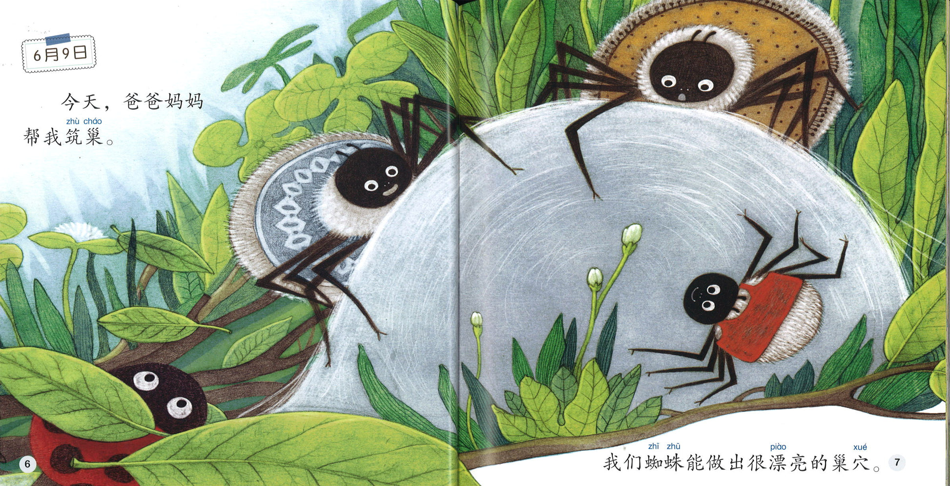 蜘蛛的日记 The Diary of the Spider 9789814929097 | Singapore Chinese Books | Maha Yu Yi Pte Ltd