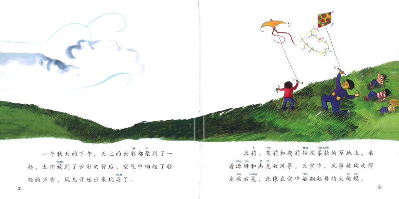 不要和风开玩笑 Please Take the Wind Seriously 9789814962933 | Singapore Chinese Books | Maha Yu Yi Pte Ltd