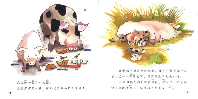 小猪奥克 Oak the Little Pig 9789814985208 | Singapore Chinese Books | Maha Yu Yi Pte Ltd