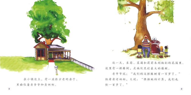 老爷爷的橡树 Grandpa's Oak Tree 9789814985314 | Singapore Chinese Books | Maha Yu Yi Pte Ltd