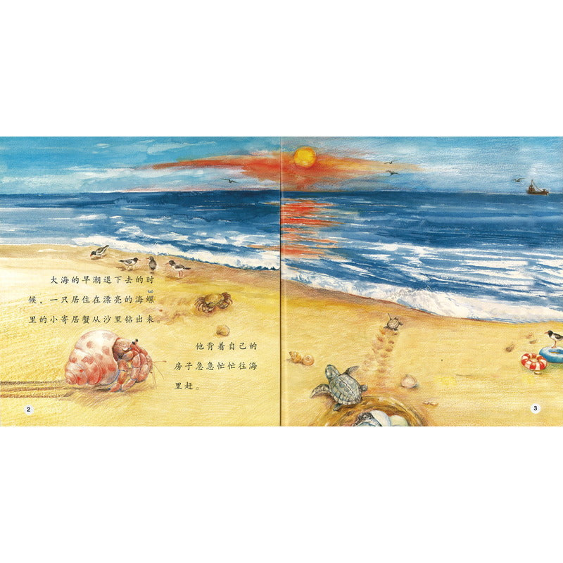 寄居蟹的海洋课 Ocean Lessons for the Hermit Crab 9789815031324 | Singapore Chinese Bookstore | Maha Yu Yi Pte Ltd