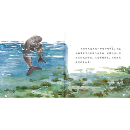 儒艮找海牛 Dugong Looking for Manatee 9789815031362 | Singapore Chinese Bookstore | Maha Yu Yi Pte Ltd