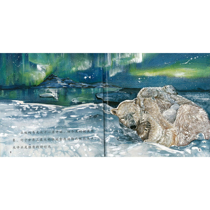 北极熊妈妈 Mother Polar Bear 9789815031379 | Singapore Chinese Bookstore | Maha Yu Yi Pte Ltd