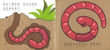 9789830037523 小小科学故事08 - 滑溜溜的蚯蚓 (拼音) | Singapore Chinese Books