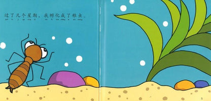 9789830037530 小小科学故事09 - 小蜻蜓，飞呀飞 (拼音) | Singapore Chinese Books