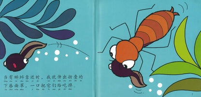 9789830037530 小小科学故事09 - 小蜻蜓，飞呀飞 (拼音) | Singapore Chinese Books